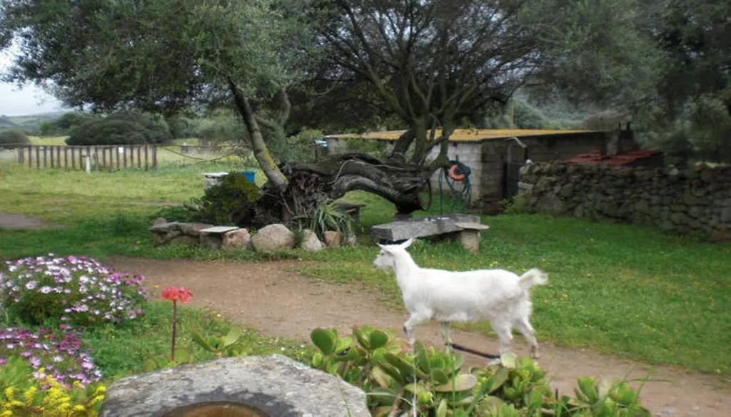 Stazzu Lu Malchesi Guest House Arzachena Country house